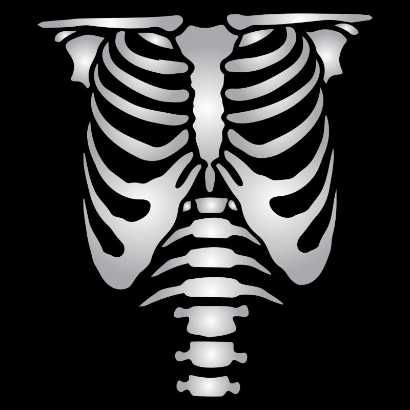 Human skeleton bones torso