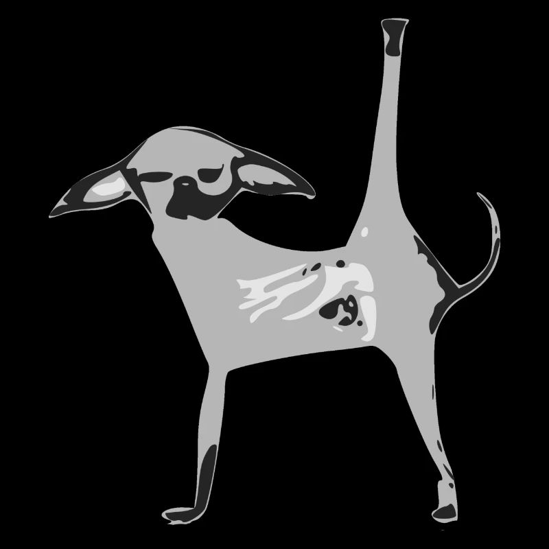 Cosmo le chiwawa gris
