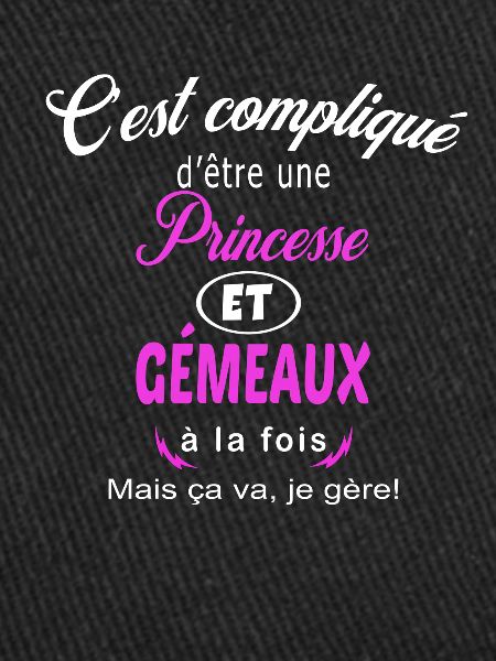 c'est compliqué princesse et gémeaux
