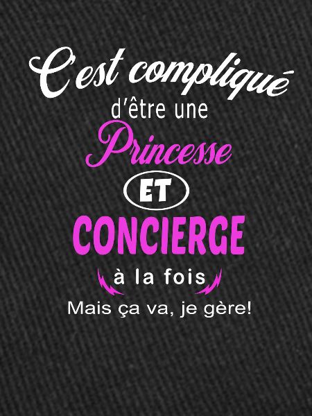 c'est compliqué princesse et concierge