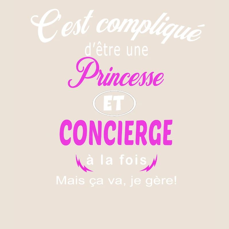 c'est compliqué princesse et concierge