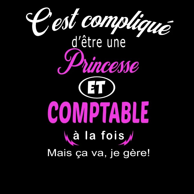 c'est compliqué princesse et comptable
