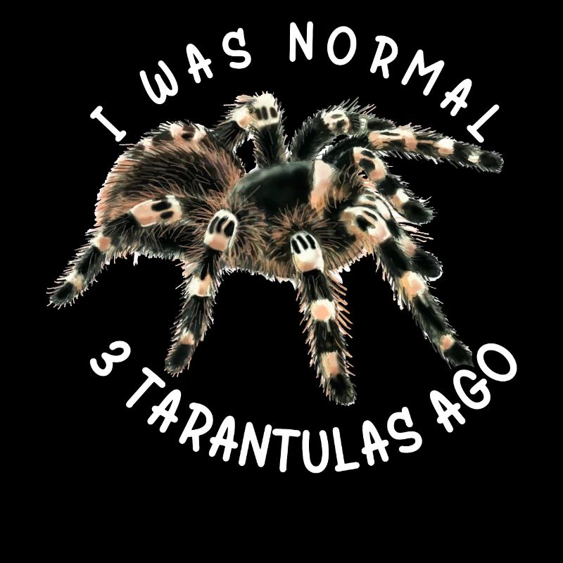 Tarantula Spiders Pet Tarantulas Collector
