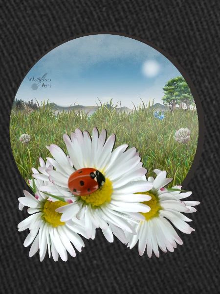 Summer meadow