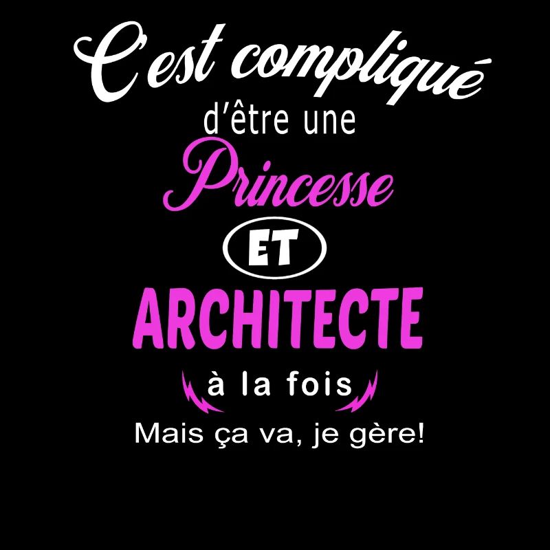 c'est compliqué princesse et architecte
