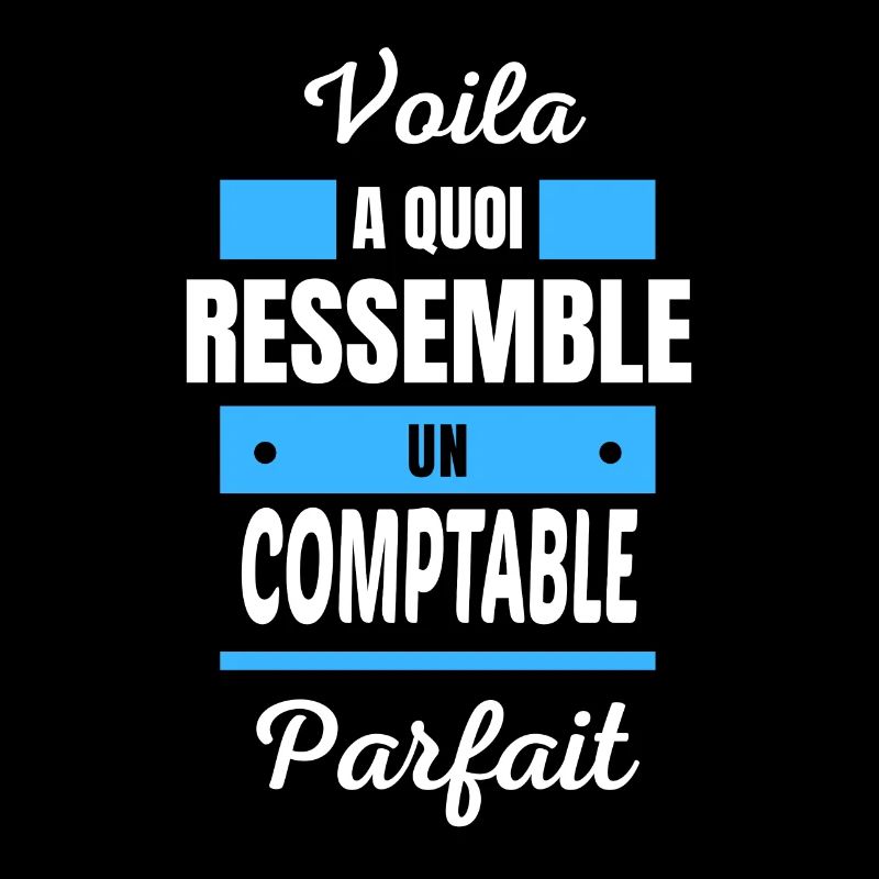 Voila a quoi ressemble un COMPTABLE parfait