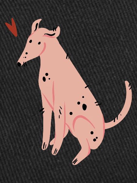 Hund