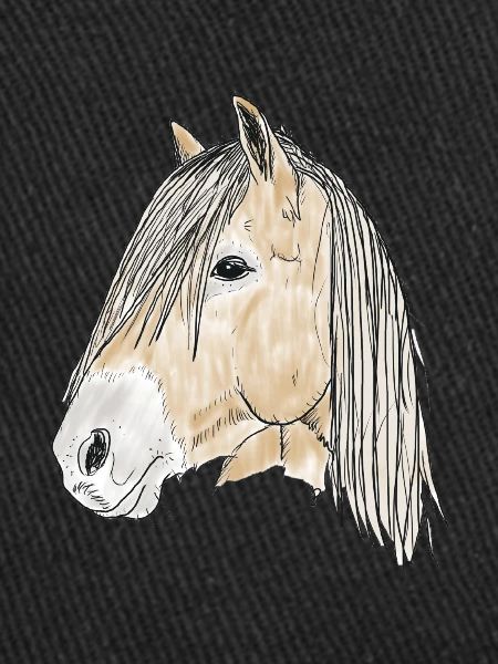haflinger