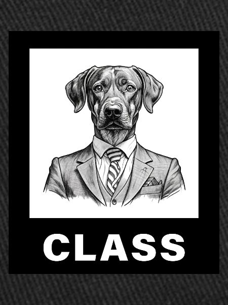 Dog with Class