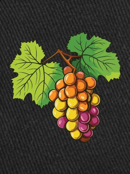 Grapes Fruit