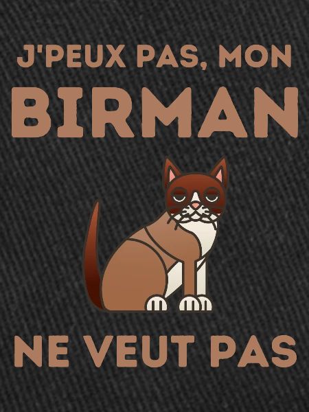 Chat sacré de Birmanie Birman