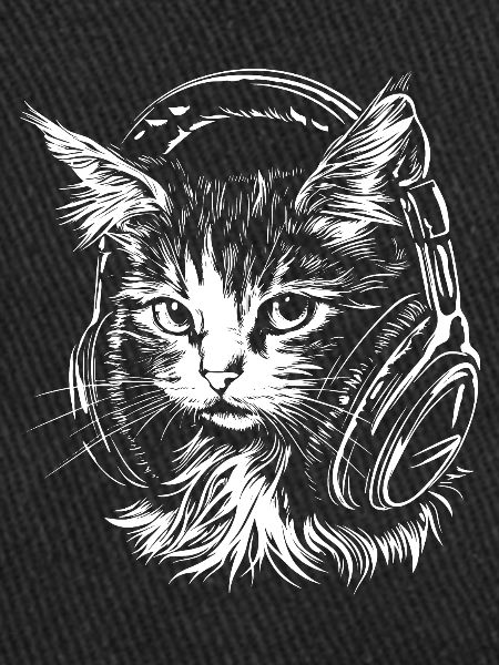 Chat Casque Musique DJ