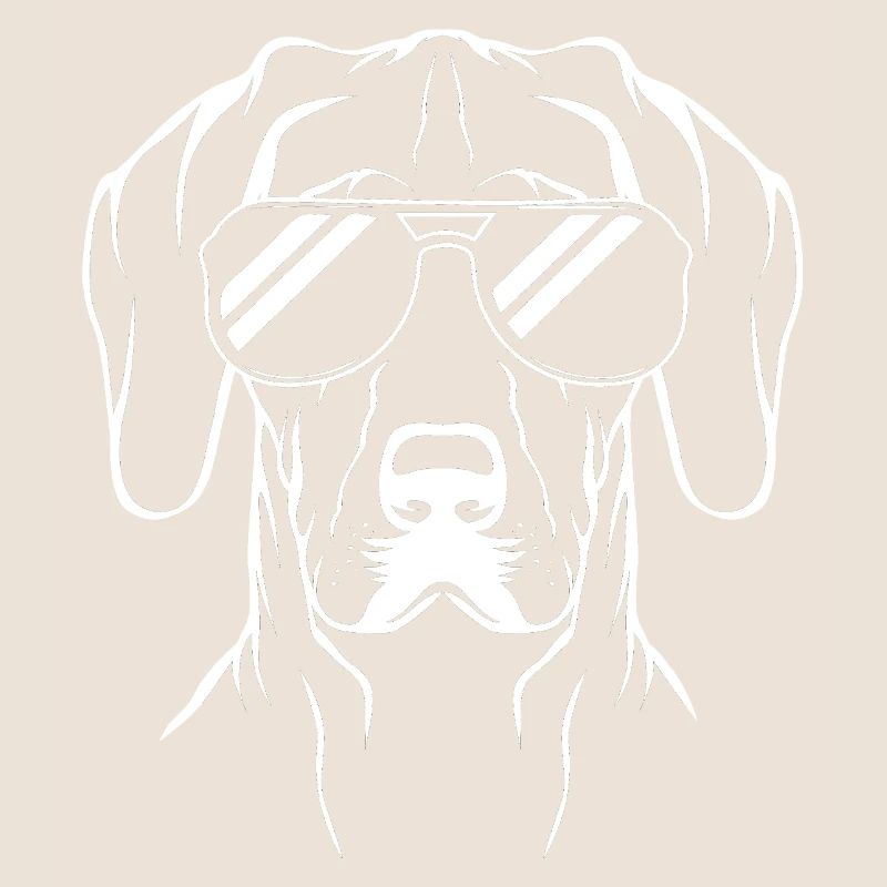 Deutsch Kurzhaar Hund German Pointer