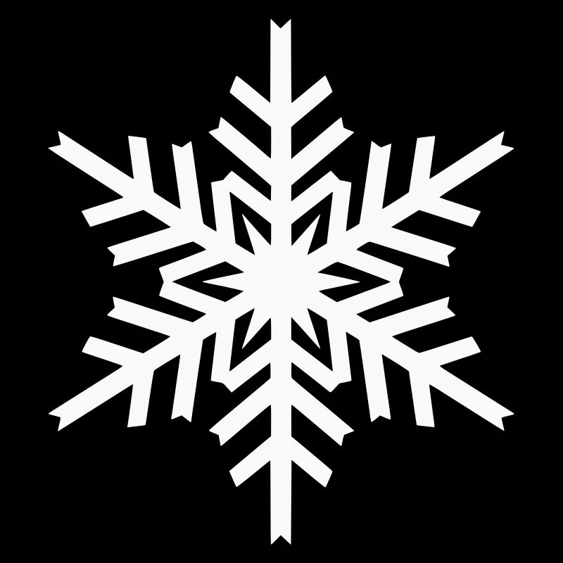 Geometric Snowflake