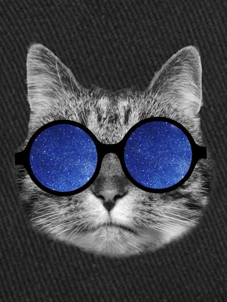 Galaxy cat