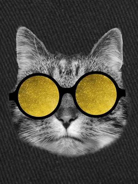 Lunettes de soleil pour chat