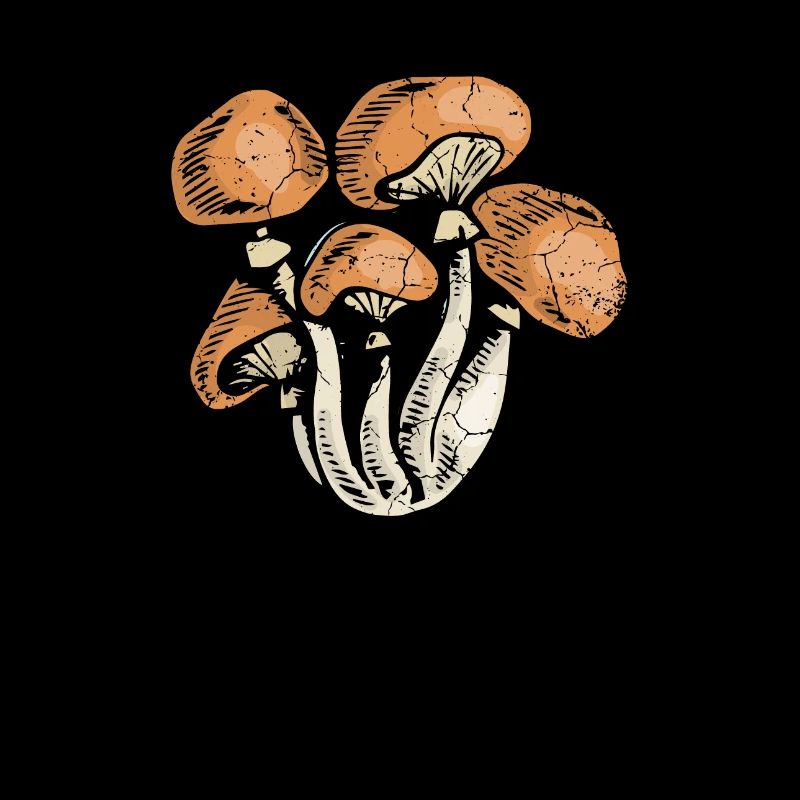 Champignon psychédélique, hippie