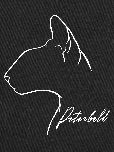 Peterbald Profil Chat Chat Wilsigns