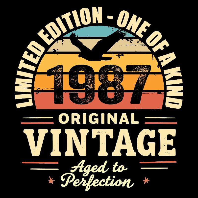 Birthday Gift 1987 Vintage 1987 Retro 1987