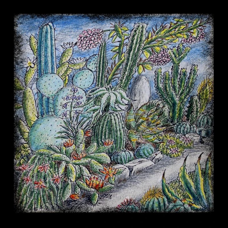 Cactus Jardin Rétro rétro