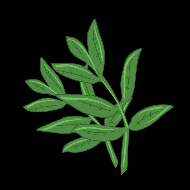 feuilles planter printemps plante naturelle feuille