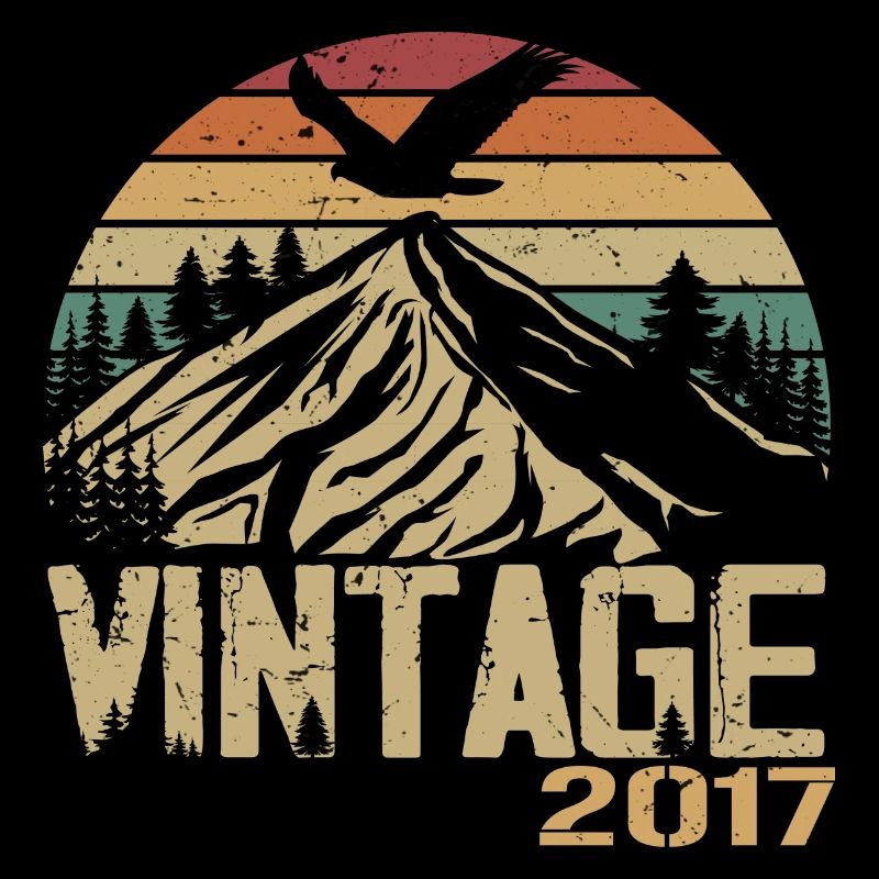 Vintage 2017 Cadeau Anniversaire 2017 Retro 2017