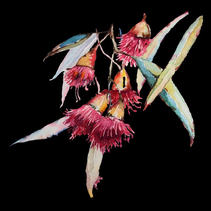 Eucalyptus - aquarelle dessinée à la main