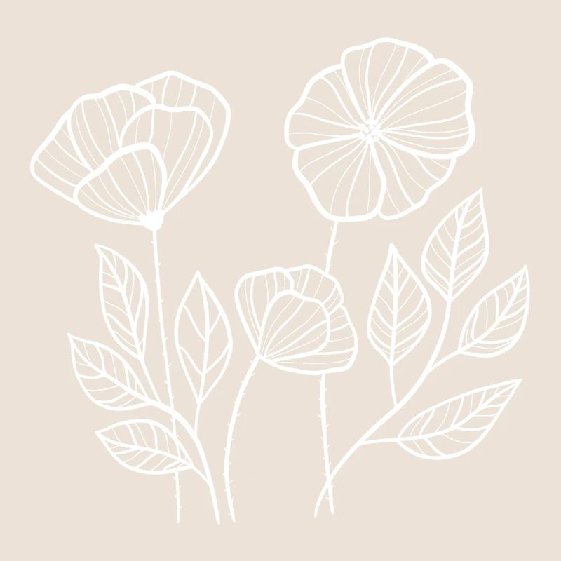Coquelicots blancs