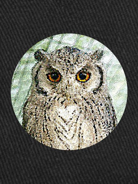 L'hibou majestueux