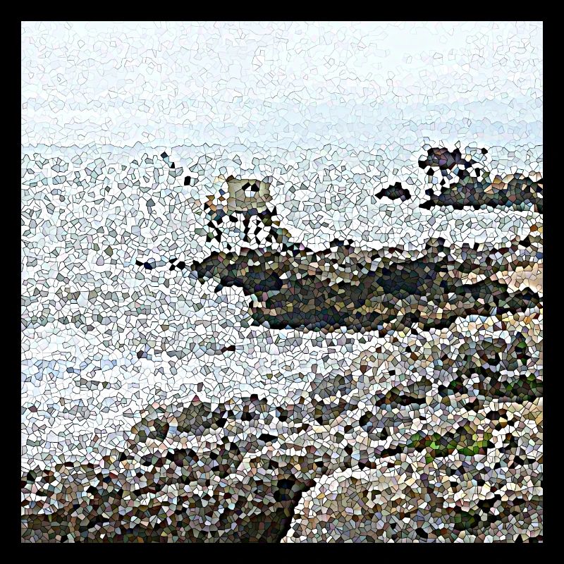 Les cabanes de pêcheurs