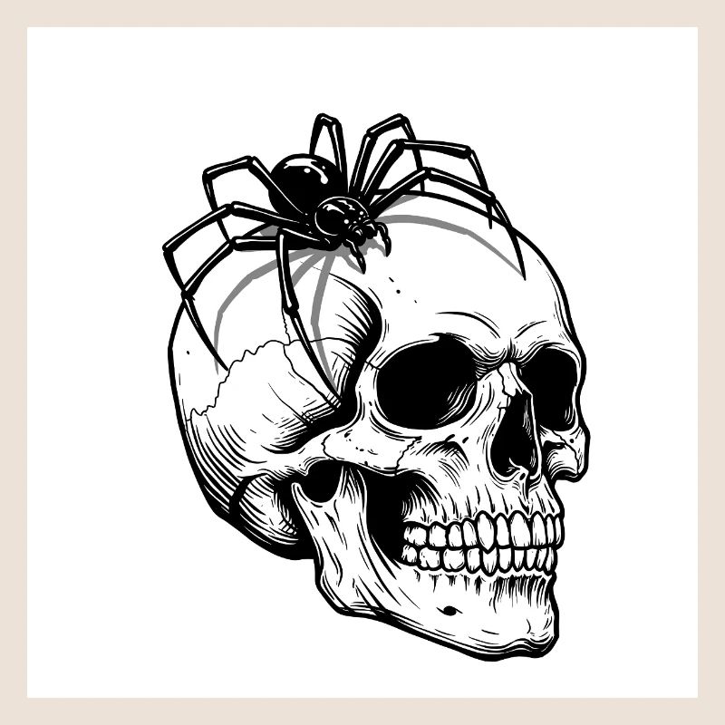 Skull & Spider - When Death Crawls
