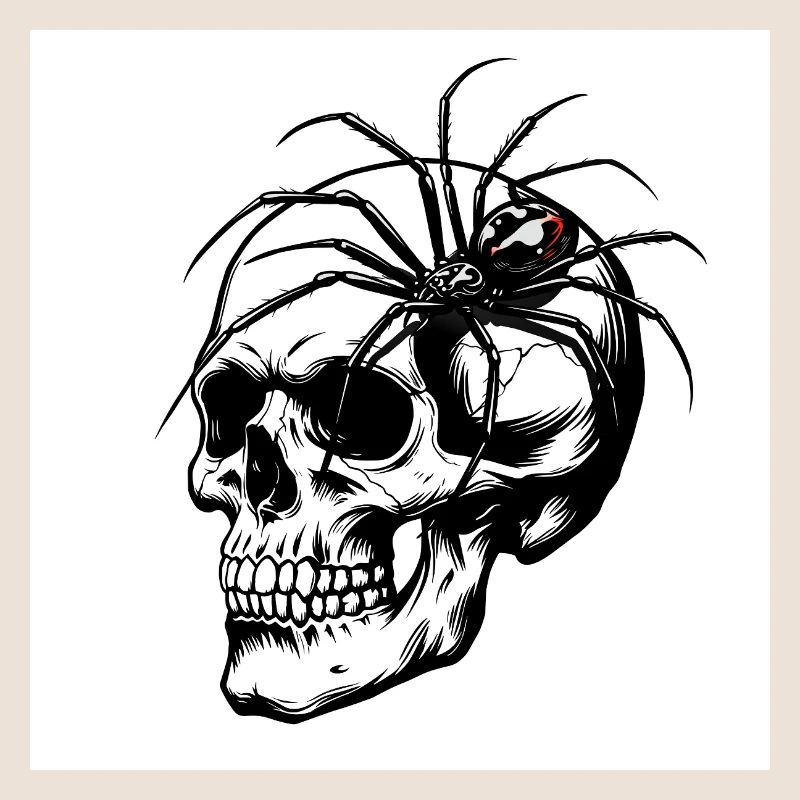 Totenkopf & Spinne – Netz des Todes