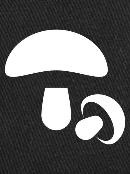 Champignons, cueillette de champignons