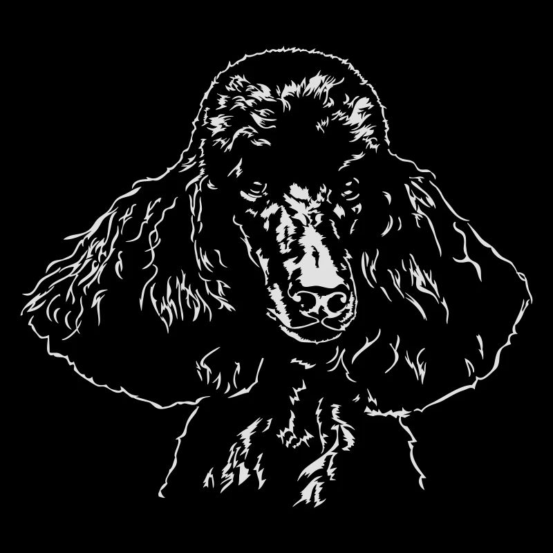 Candel Poodle Caniche Portrait