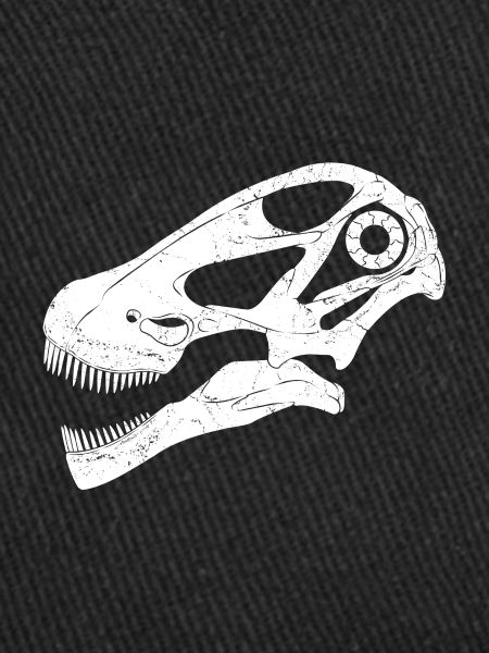 Crâne fossile d’Argentinosaurus