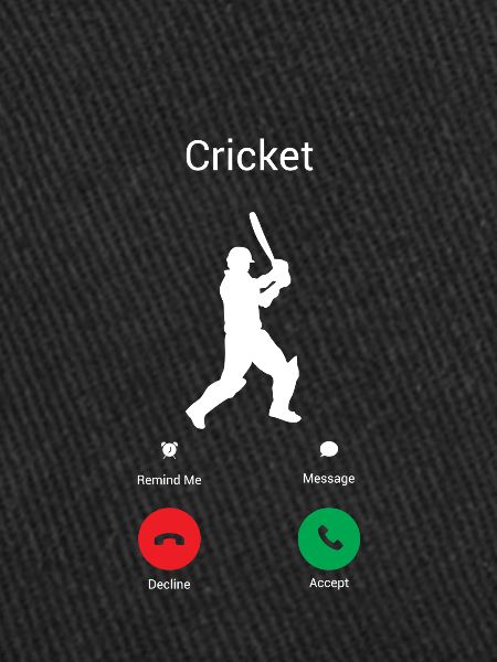 CRICKET RUFT MICH