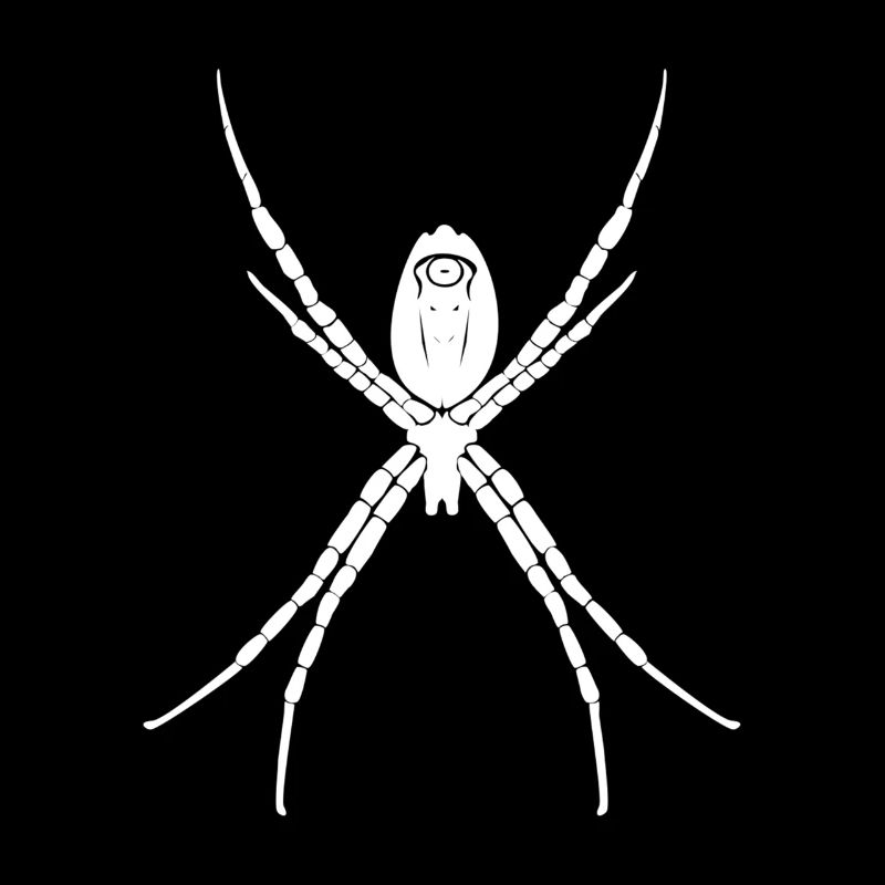 spinne
