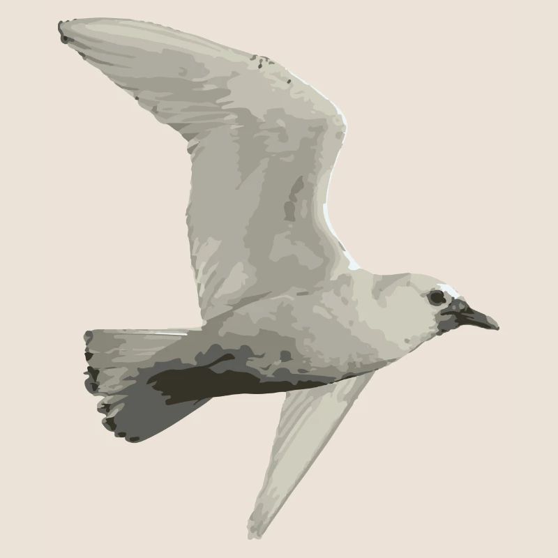Vogel