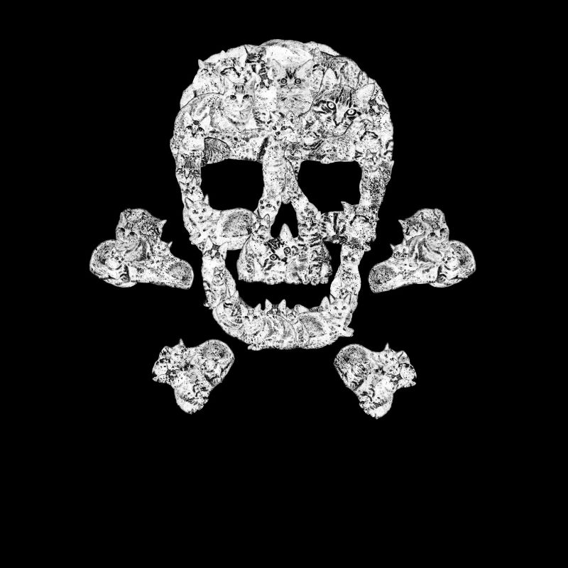 Cadeau de pirate drôle de chat Skull Crossbone Kitty Kitten