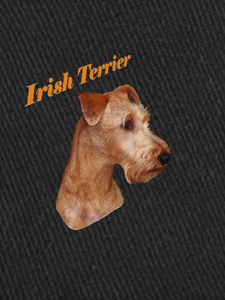 Irish Terrier