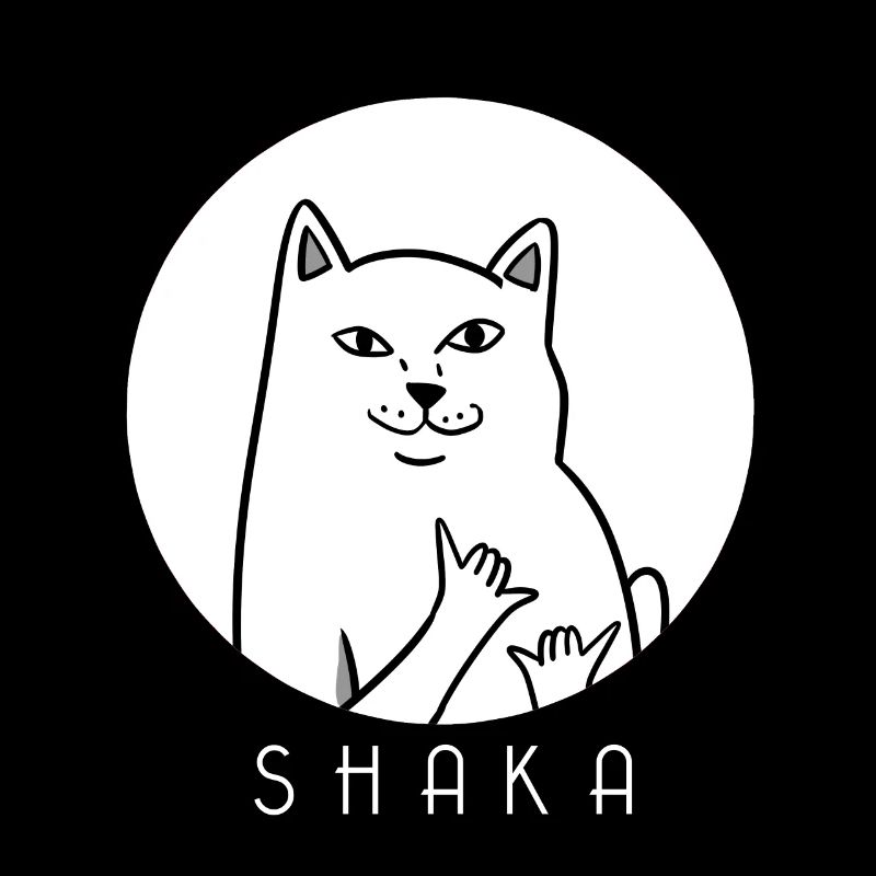 MEME CAT - Shaka - chat - chaton