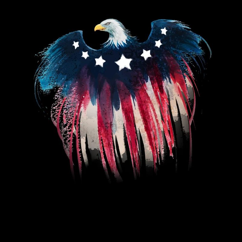 4th Of July American flag eagle