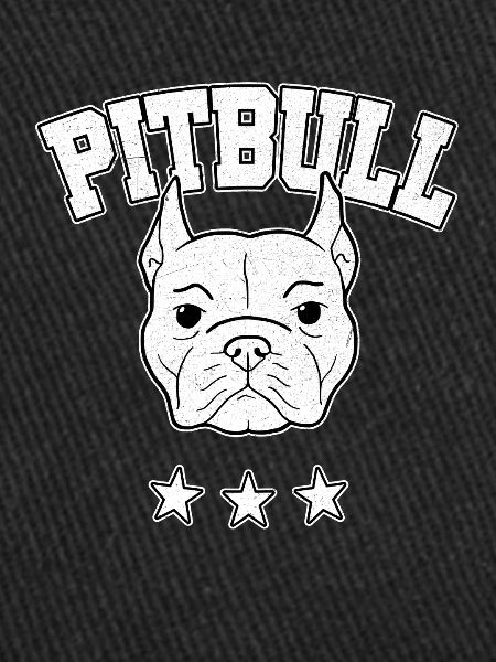 Pitbull Pitbull Pittie Bully cadeau