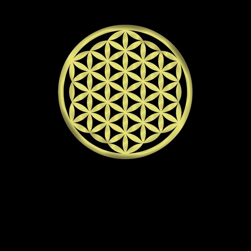 Fleur de vie / Fleur de vie / Fleur de vie