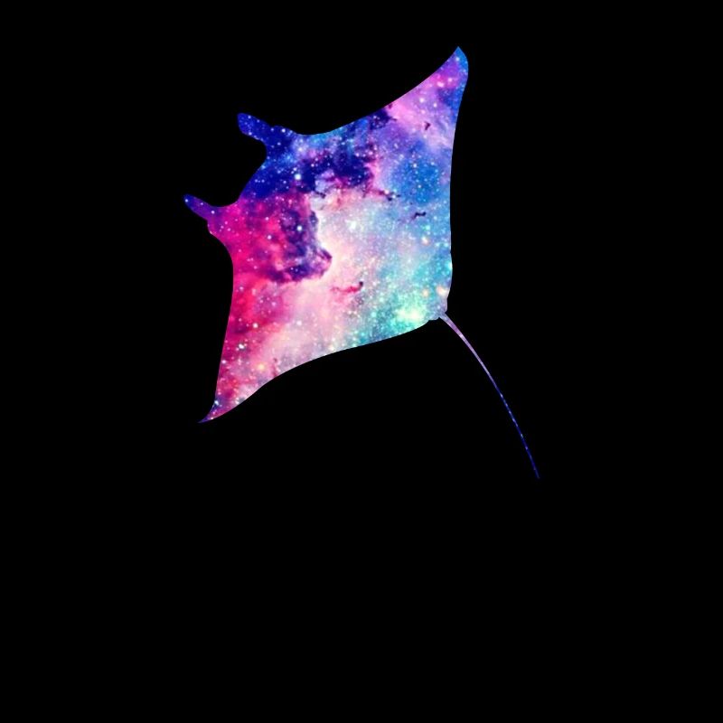 Manta Rays Galaxy Space Gift