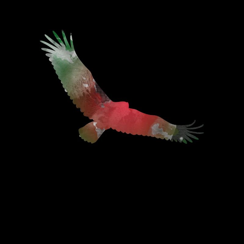 Magical Flying Eagle Trippy Silhouette