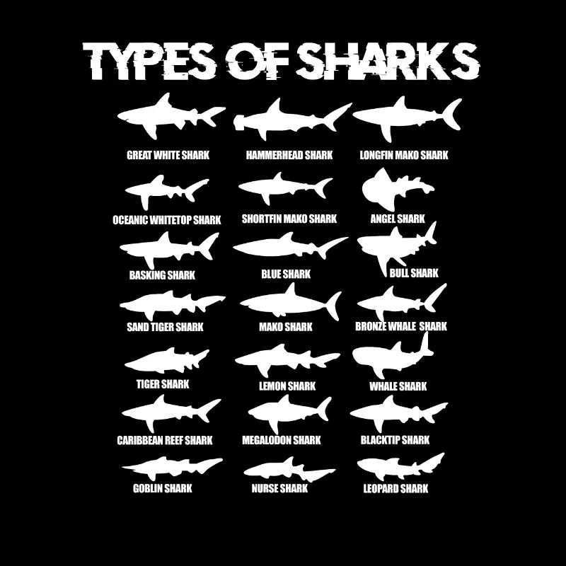requins
