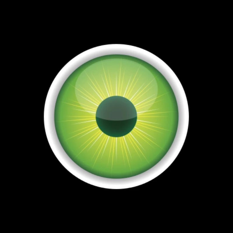 Auge