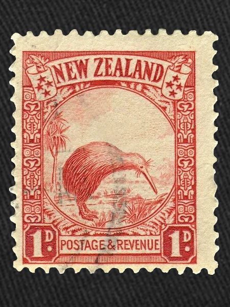 Kiwi Stamp