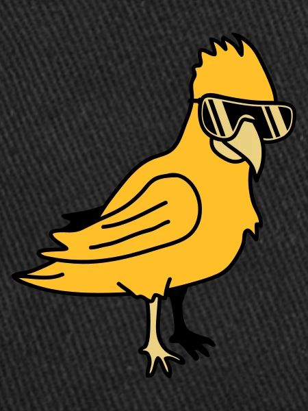 Cool Parrot Bird